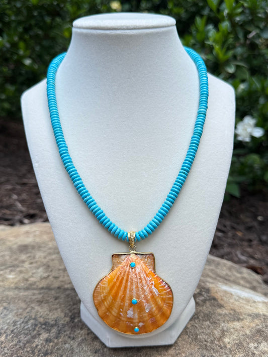turquoise and orange shell