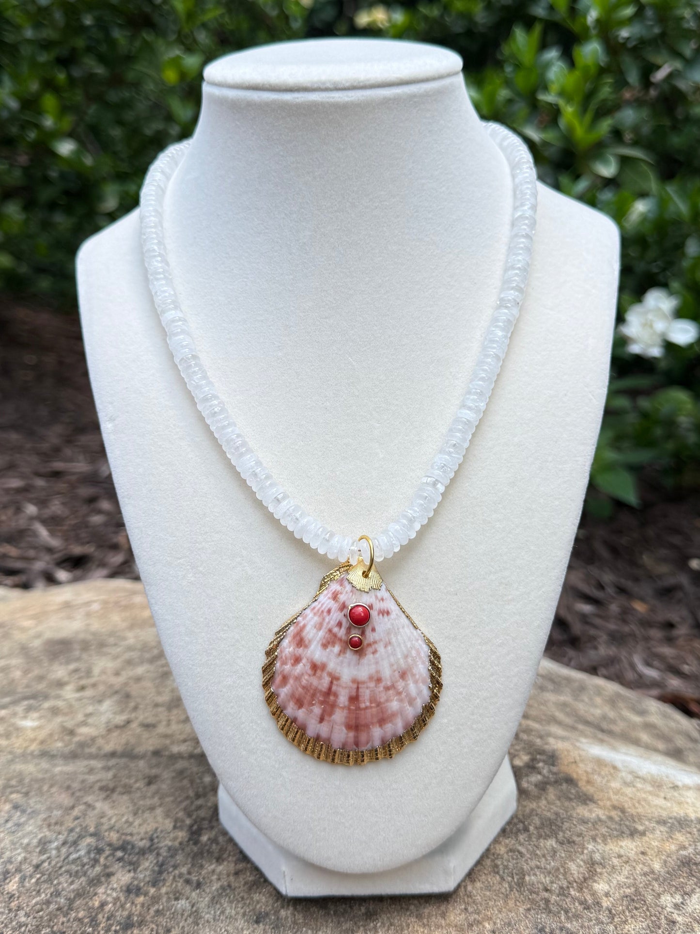 white and red shell with coral accents